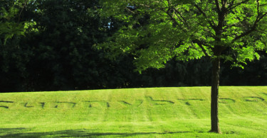 Sunnybrook written in grass outside
