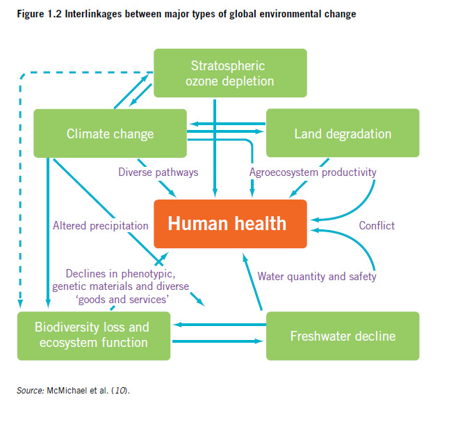 Human health interlinkages infographic