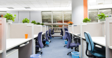 Office with plants