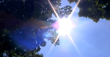 Sun shining through trees