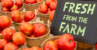 "Fresh from the farm" sign with tomatos