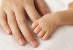 Baby holds onto parent's finger