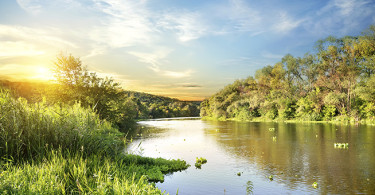 Scene of the outdoors
