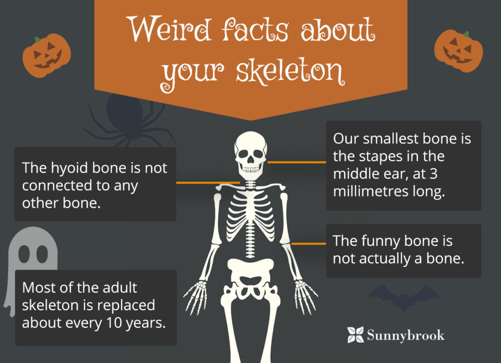UNUSUAL FACTS ABOUT HUMAN SKELETON visual data 2