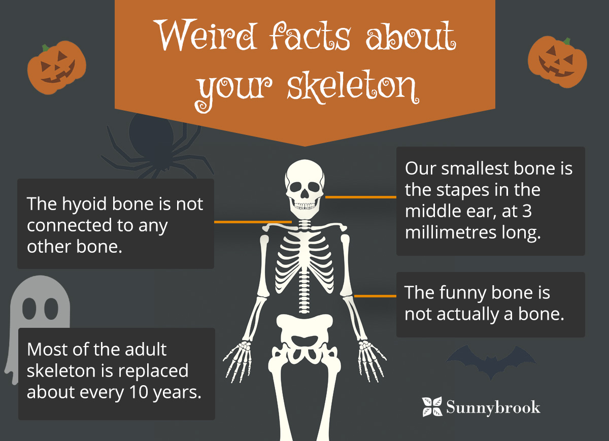 Weird facts about your skeleton
