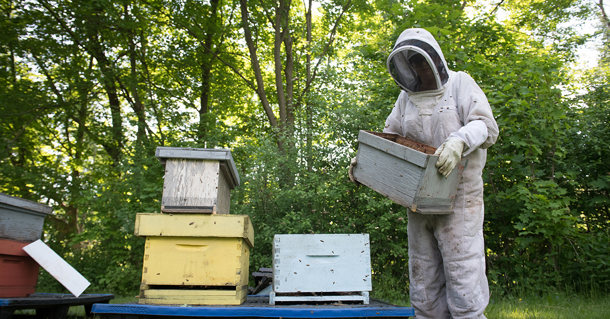 beekeeper and beehives