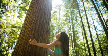 Young girl hugging a tree